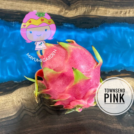 Townsend Pink