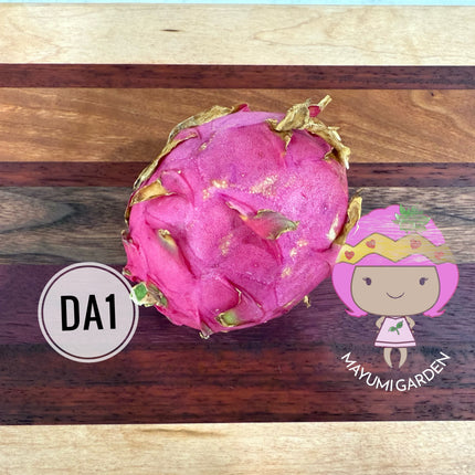 DA-1 Dragon Fruit
