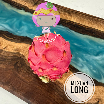 Mi Xuan Long 🔥