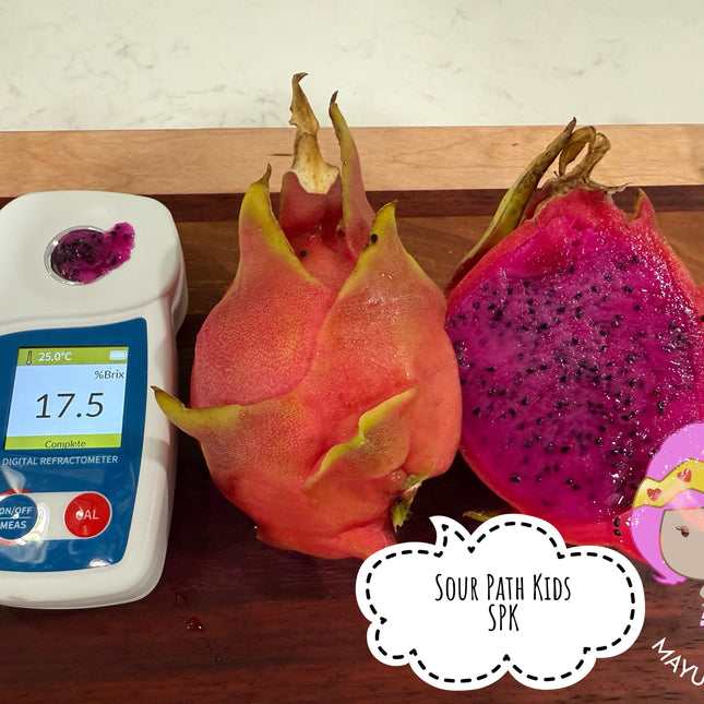 Sour Patch Kids Dragon Fruit cuttings (12")