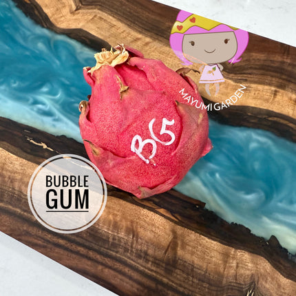 Bubble Gum