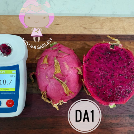DA-1 Dragon Fruit