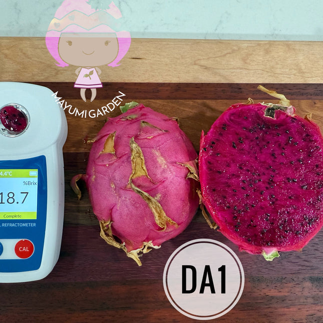 DA-1 Dragon Fruit
