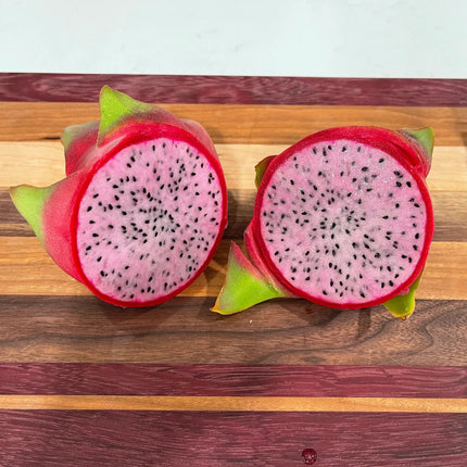 Delight Dragon fruit cutting (12") and rooted plant