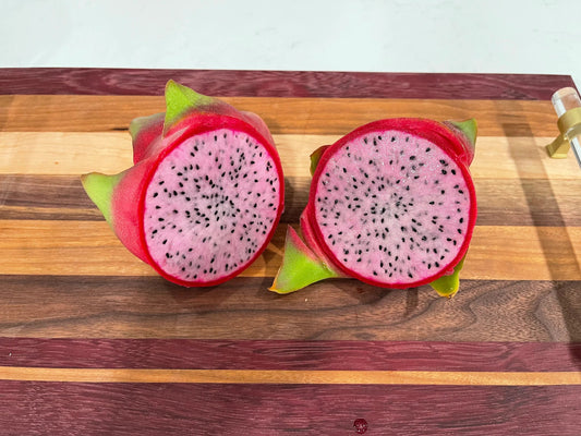 Delight Dragon fruit cutting (12") and rooted plant