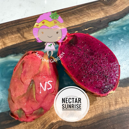 Nectar Sunrise