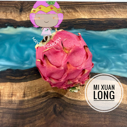 Mi Xuan Long 🔥