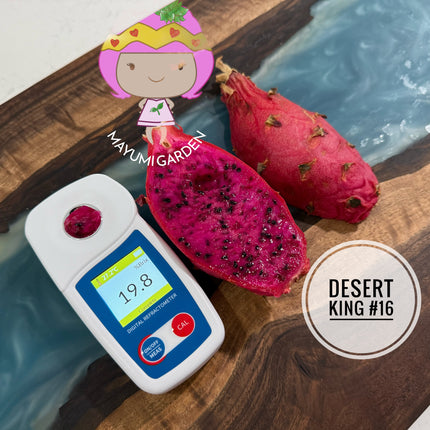 🌵 Desert King 16 (DK #16)