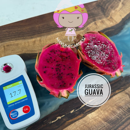 Jurassic Guava