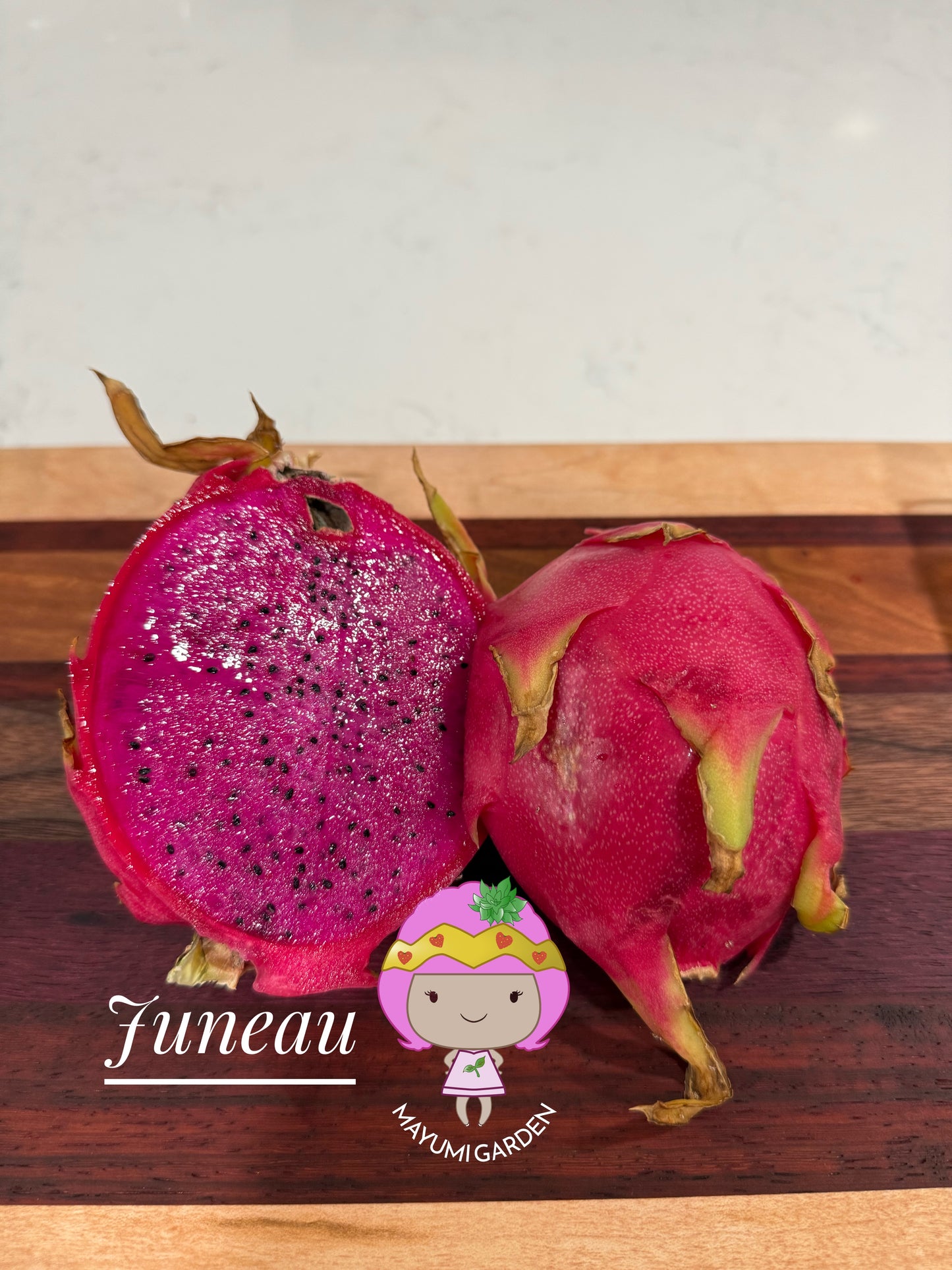 Juneau dragon fruit live cutting
