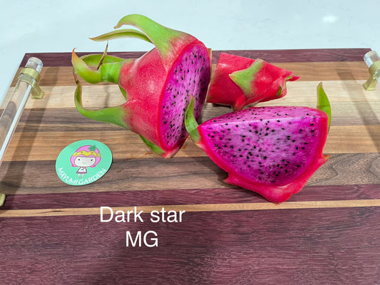Dark Star dragon fruit live cutting 12"