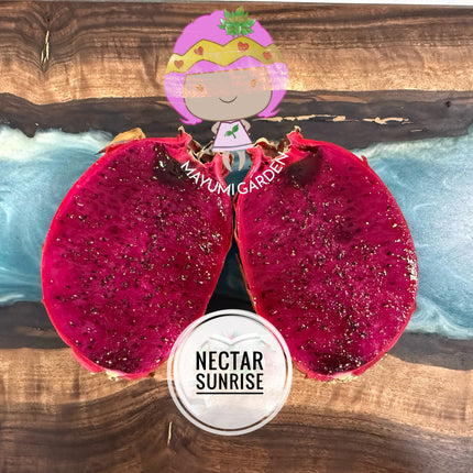 Nectar Sunrise