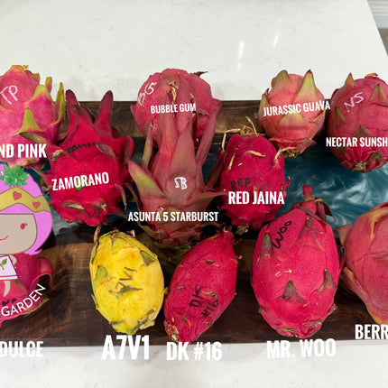 Jurassic Guava