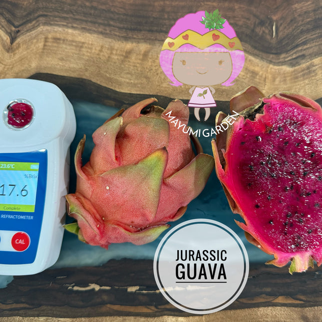 Jurassic Guava