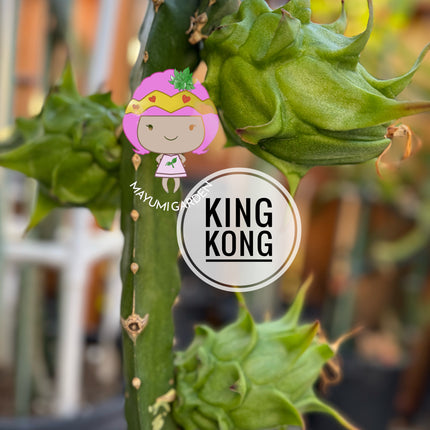 🦍 King Kong