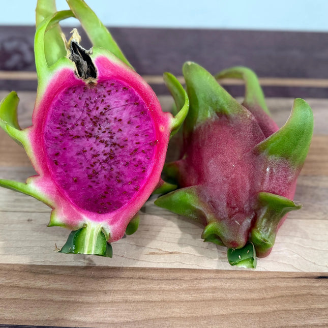 Edgar’s baby dragon fruit cuttings (12") and rooted plants