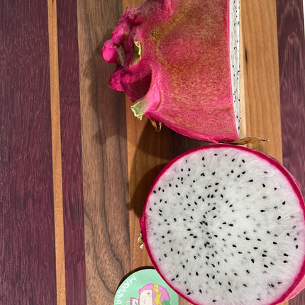 Vietnamese Giant White dragon fruit cutting and rooted plant