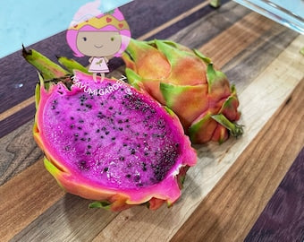 Connie Gee (Don Burnett hybrid)  dragon fruit cuttings (12" or longer)