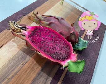 Asunta 5 Paco official - The best of the Asunta line