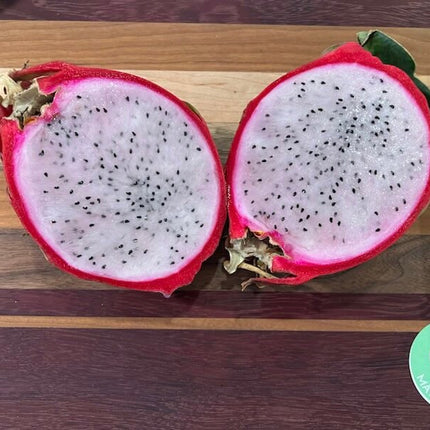 Maria Rosa dragon fruit cutting (12”)