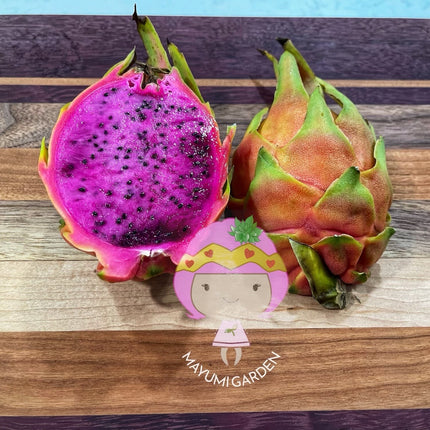 Connie Gee (Don Burnett hybrid)  dragon fruit cuttings (12" or longer)