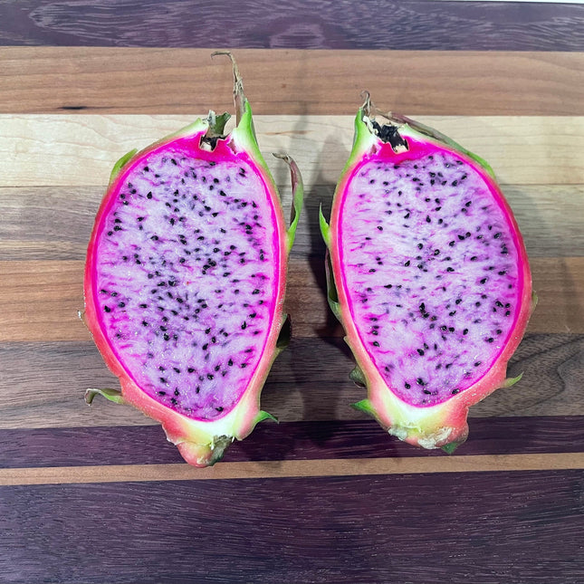 Asunta 3 dragon fruit cuttings 12" and rooted plant