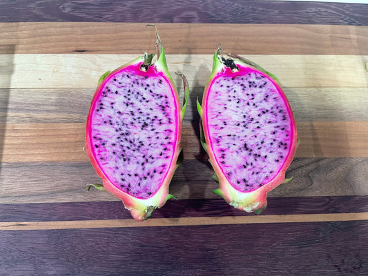 Asunta 3 dragon fruit cuttings 12"