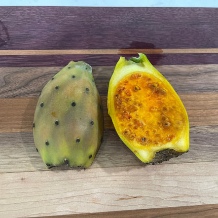 Opuntia ficus indica prickly pear cactus, Spineless/Barbary Fig, pad cutting