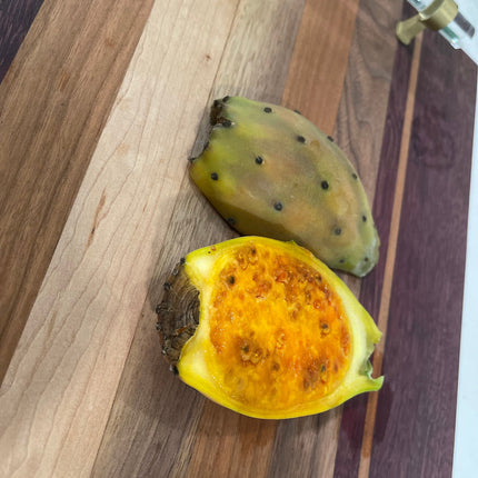 Opuntia ficus indica prickly pear cactus, Spineless/Barbary Fig, pad cutting