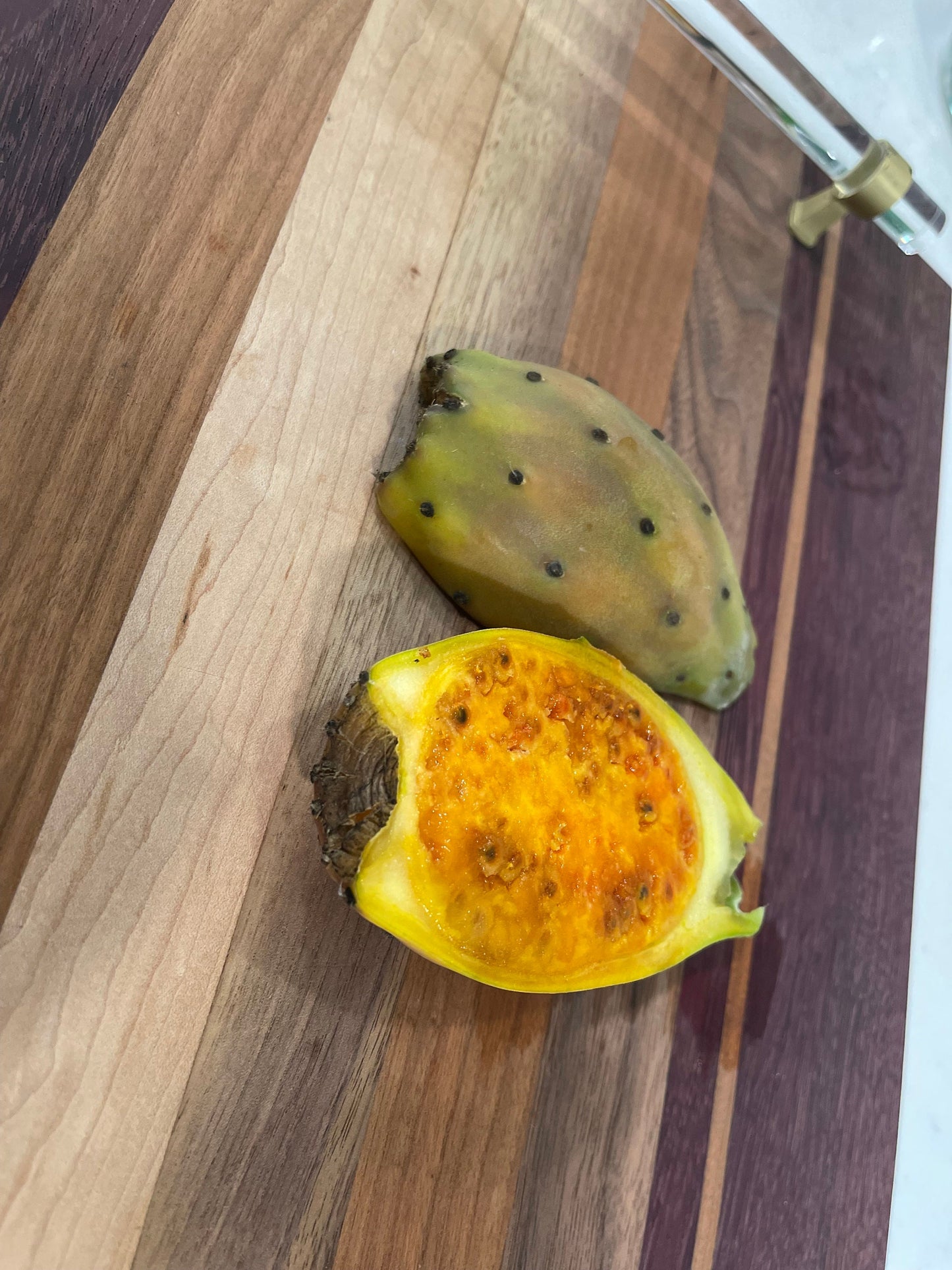 Opuntia ficus indica prickly pear cactus, Spineless/Barbary Fig, pad cutting