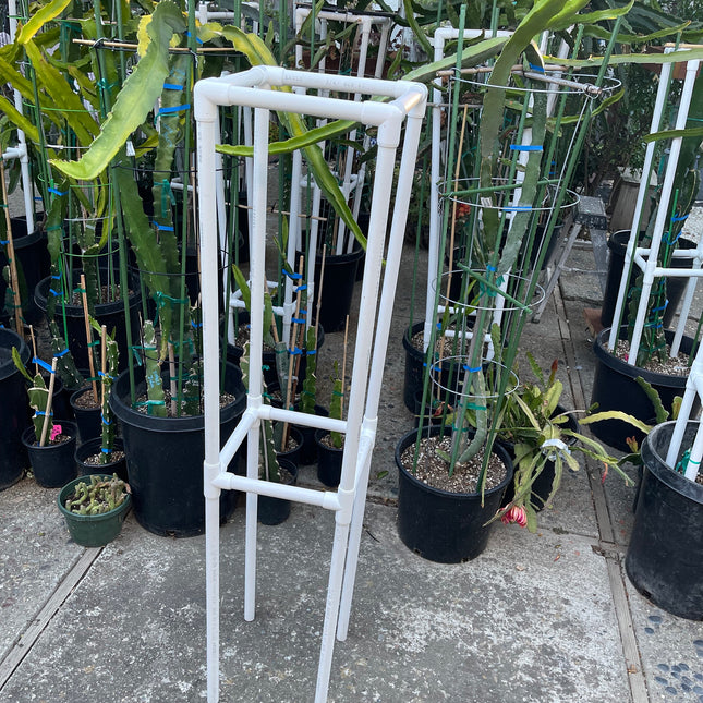 Dragon fruit PVC (Schedule 40) Trellis (54" tall) Long Lasting Light Weight Trellis