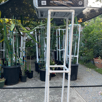 Dragon fruit PVC (Schedule 40) Trellis (54" tall) Long Lasting Light Weight Trellis