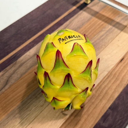 Patricia (official Astuna 5 yellow) grafted Dragon Fruit live plant