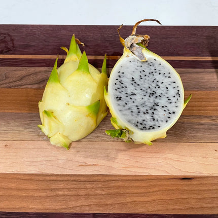 ISIS  Gold / Australian Gold dragon fruit cutting (12" or longer)