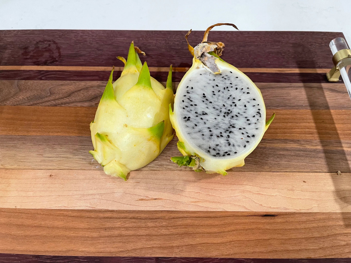 ISIS  Gold / Australian Gold dragon fruit cutting (12" or longer)