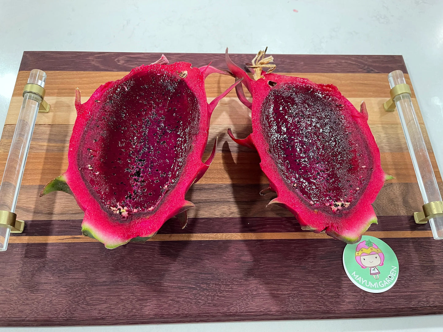 Lake Atitlan Red dragon fruit cuttings (12" or longer)
