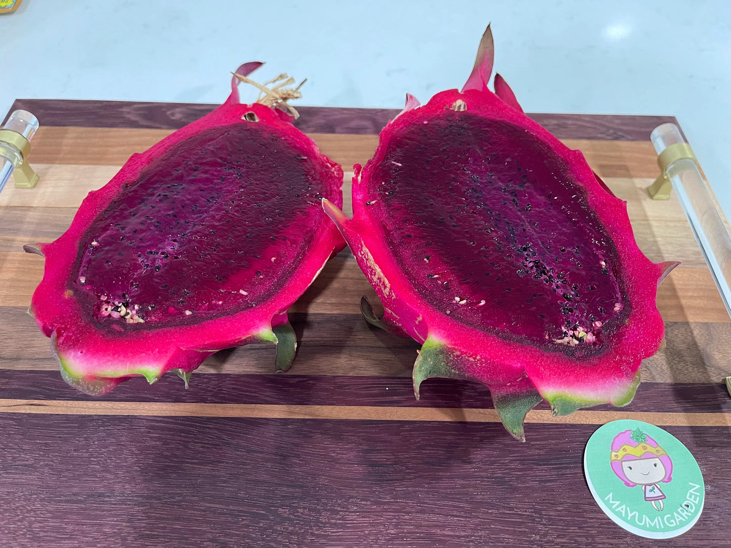 Lake Atitlan Red dragon fruit cuttings (12" or longer)