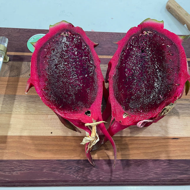 Lake Atitlan Red dragon fruit cuttings (12" or longer)