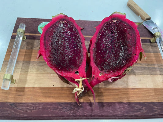 Lake Atitlan Red dragon fruit cuttings (12" or longer)