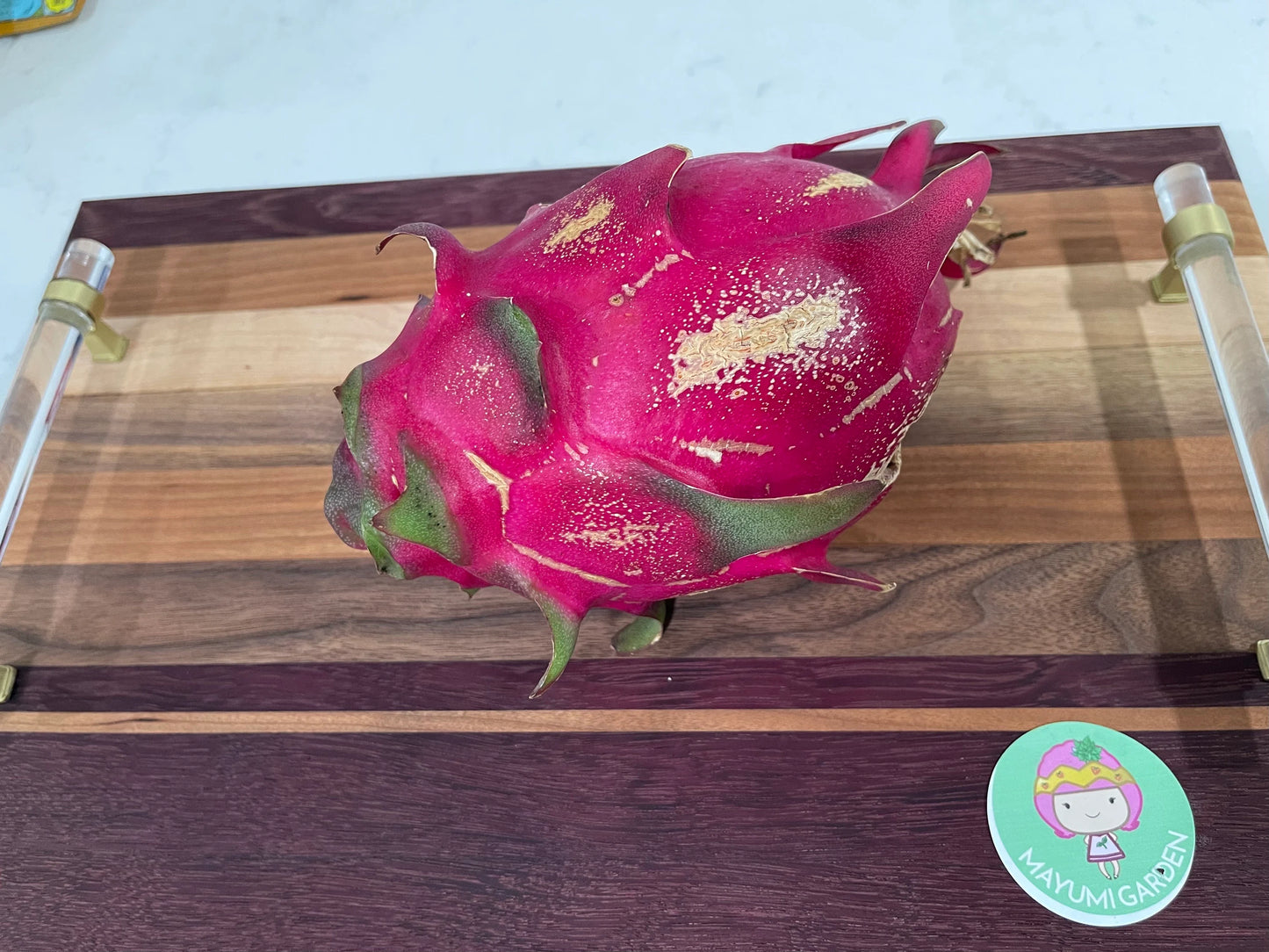 Lake Atitlan Red dragon fruit cuttings (12" or longer)