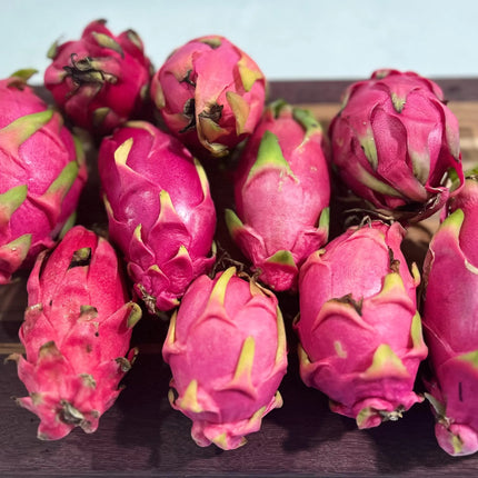 Maui Dragon Dragon Fruit live cuttings 12" long