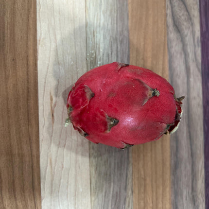 Neon Dragon Fruit live cuttings (12")