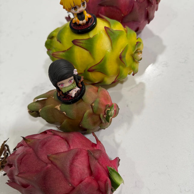 Patricia Asunta 5 Yellow Dragon Fruit live cuttings