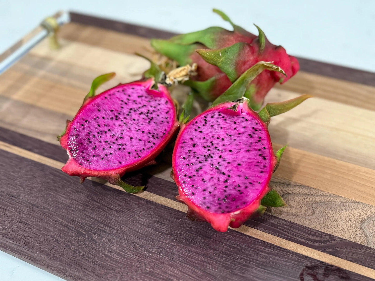 Physical Graffiti Dragon Fruit live plants and cuttings