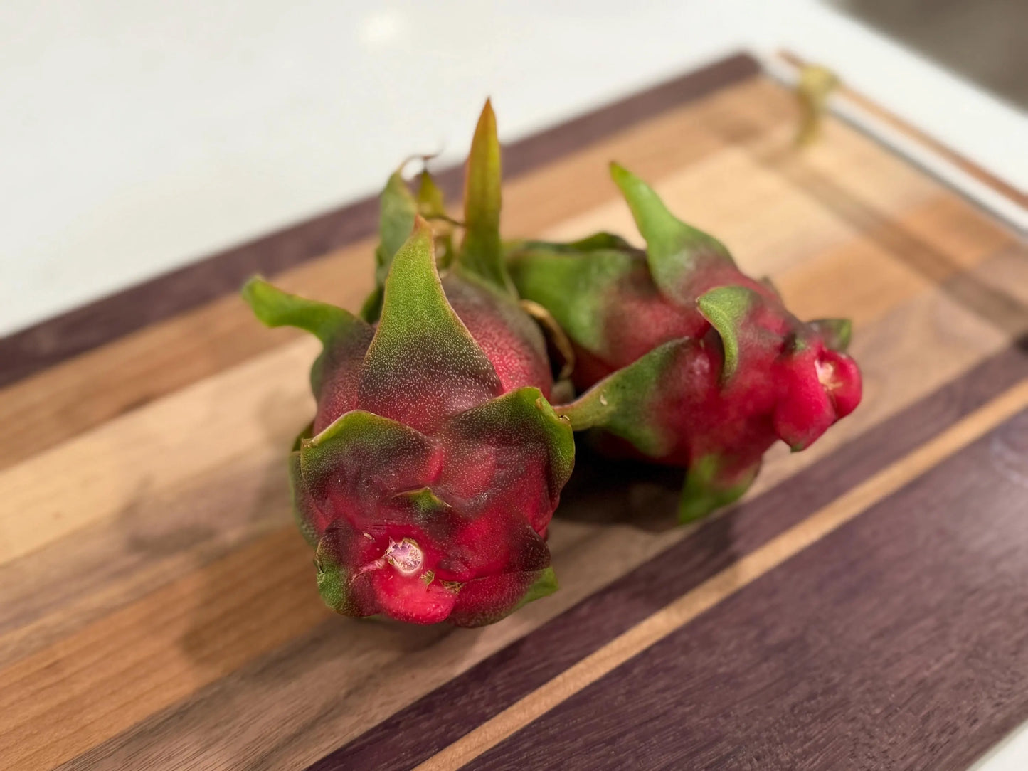 Physical Graffiti Dragon Fruit live plants and cuttings