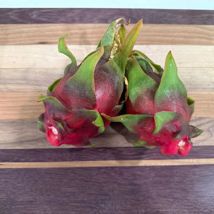 Physical Graffiti Dragon Fruit live plants and cuttings