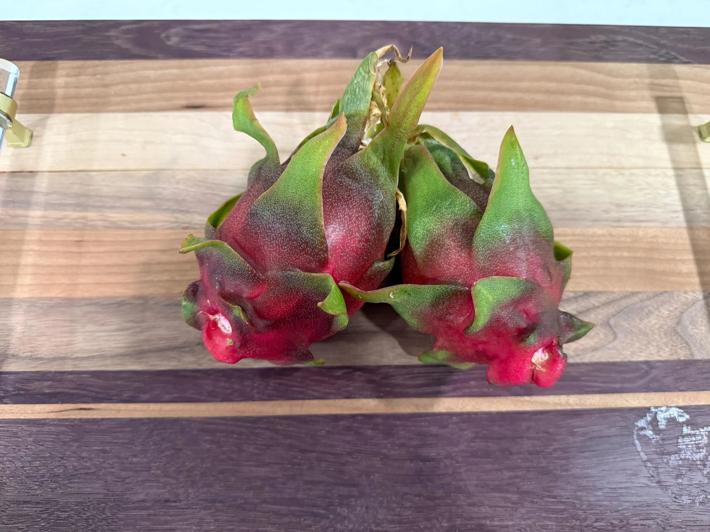 Physical Graffiti Dragon Fruit live plants and cuttings