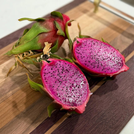 Physical Graffiti Dragon Fruit live plants and cuttings