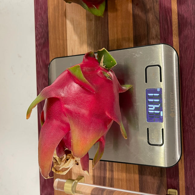 Purple Haze dragon fruit cuttings (12") and rooted plants