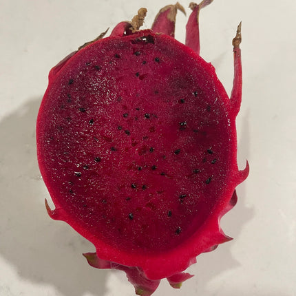 Mayumi Red Dragon fruit cutting 12"